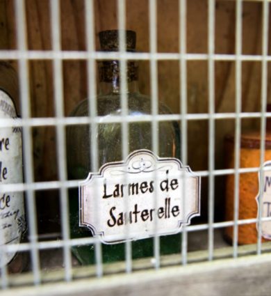 Potions de la sorcière Jardins de Brocéliande