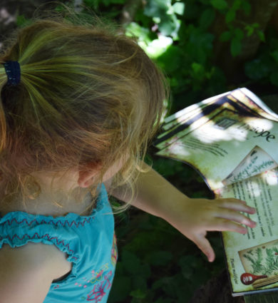 livre de recette du jardin de la sorcière