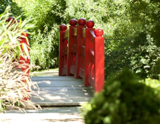 Jardin asiatique. Photo Thomas Crabot