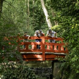 pont rouge, jardin à l'asiatique