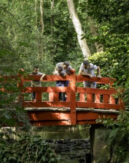 pont rouge, jardin à l'asiatique