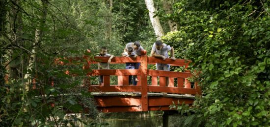 pont rouge, jardin à l'asiatique
