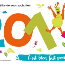 Voeux 2019 jardins de Brocéliande
