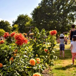 Jeu de piste le Jardin du bonheur