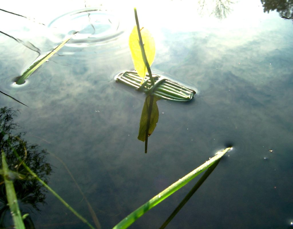 Pirogue buissonnière, jeu nature