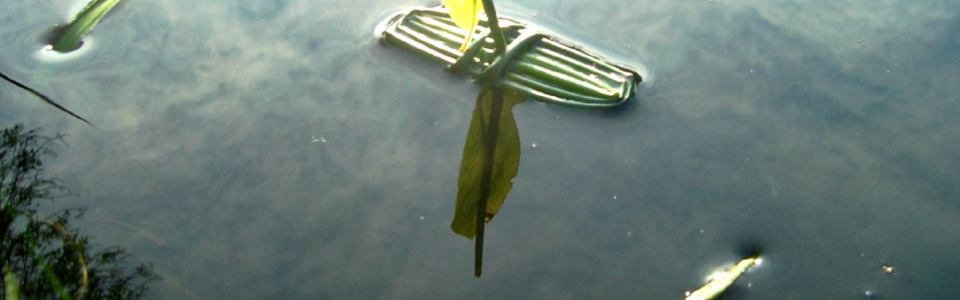 Pirogue buissonnière, jeu nature