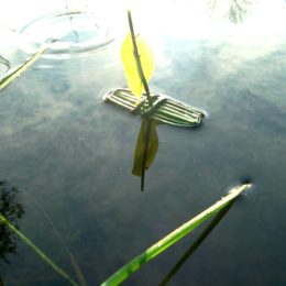 Pirogue buissonnière, jeu nature