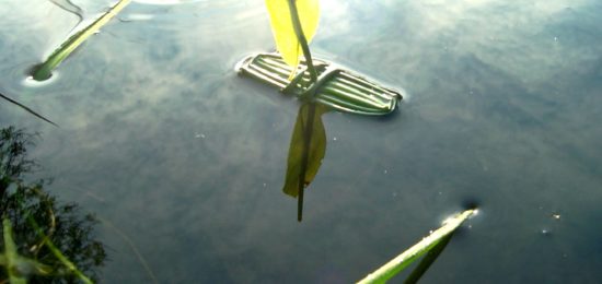 Pirogue buissonnière, jeu nature