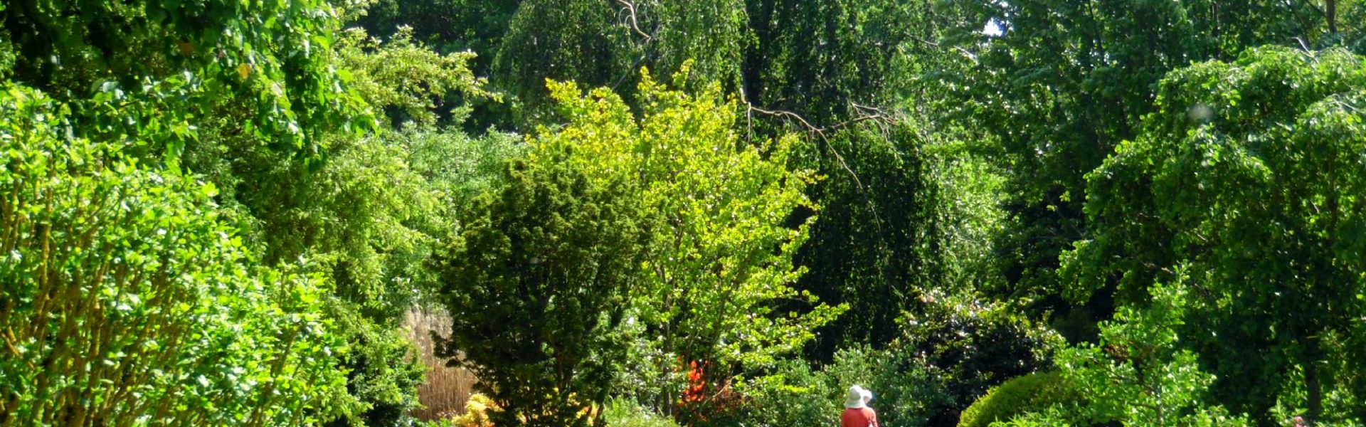 jardins à l'anglaise