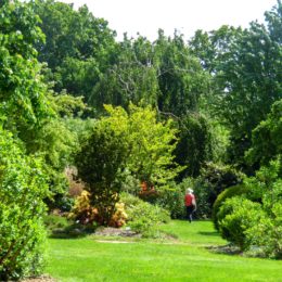 jardins à l'anglaise