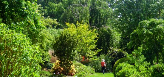 jardins à l'anglaise