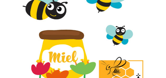 abeilles, miel, syndicat des apiculteurs 35