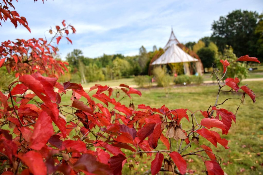 automne jardins