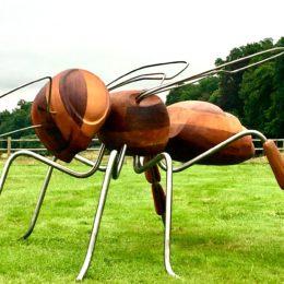 INsect'Inside expo 2020