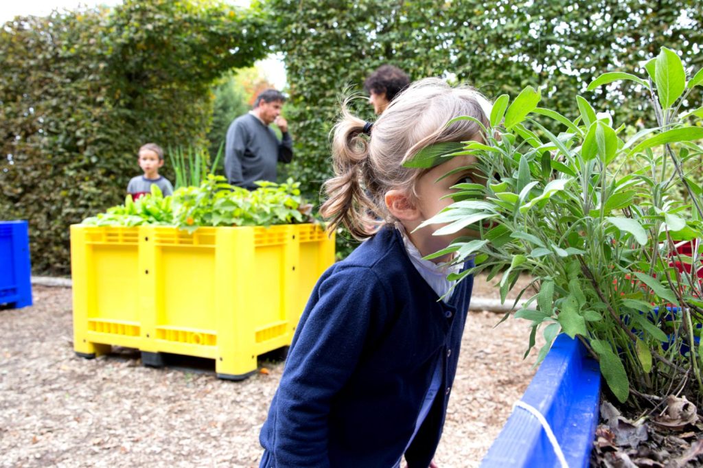 Rendez-vous aux Jardins 2020