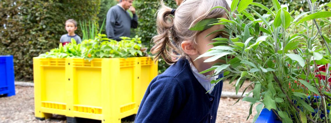 Rendez-vous aux Jardins 2020