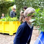 Rendez-vous aux Jardins 2020