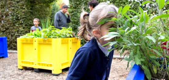 Rendez-vous aux Jardins 2020