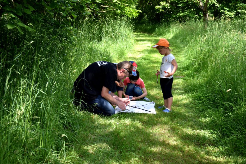 atelier biodiversité, Jardins de Brocéliande