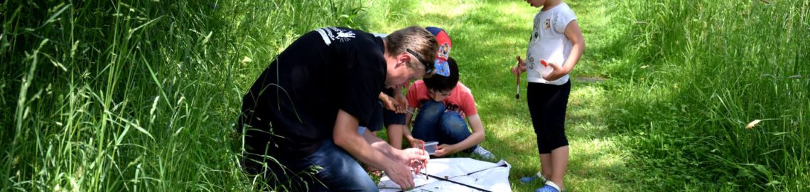 atelier biodiversité, Jardins de Brocéliande