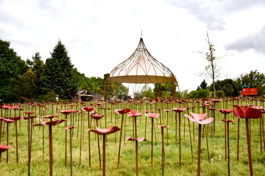 Mille coquelicots et le Grand bourgeon