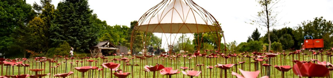 Mille coquelicots et le Grand bourgeon