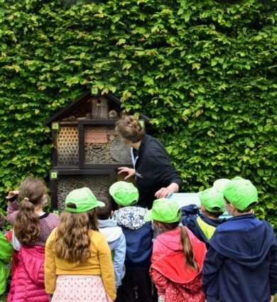 animation nature enfants