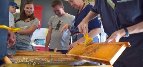 extraction du miel des Jardins