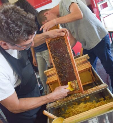 extraction du miel des Jardins