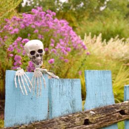 jardins ensorcelés, halloween aux Jardins de Brocéliande