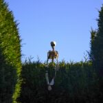 les jardins ensorcelés décors halloween