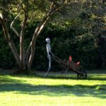 les jardins ensorcelés décors halloween