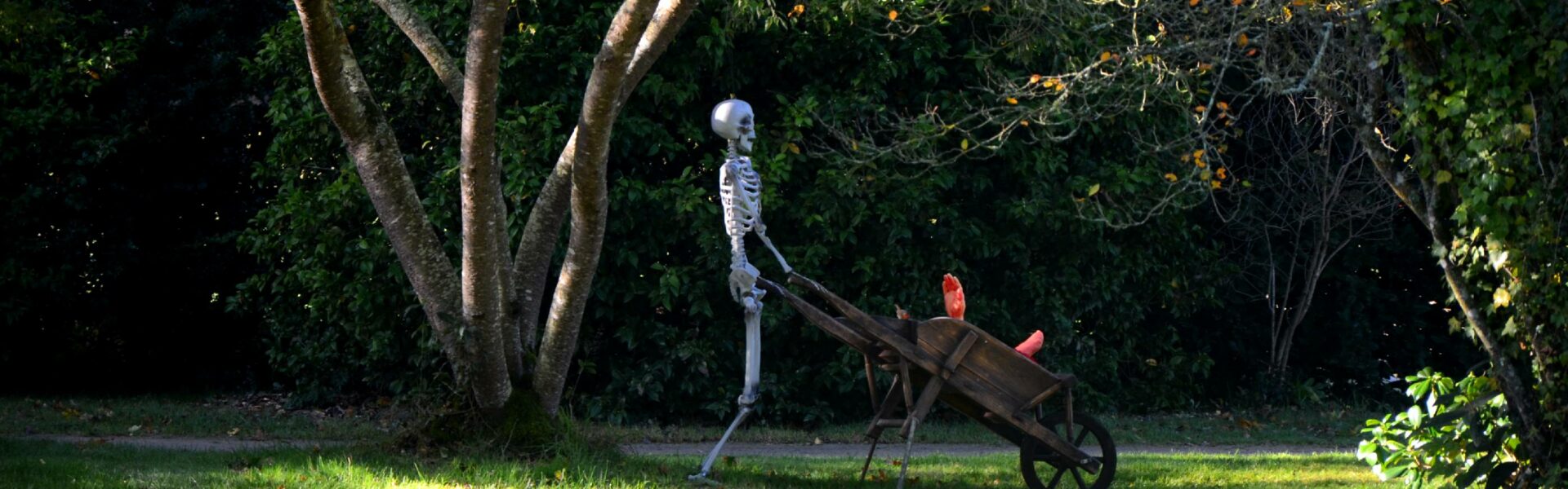 les jardins ensorcelés décors halloween