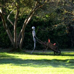 les jardins ensorcelés décors halloween
