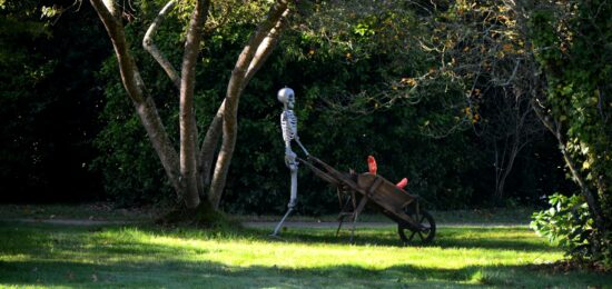 les jardins ensorcelés décors halloween