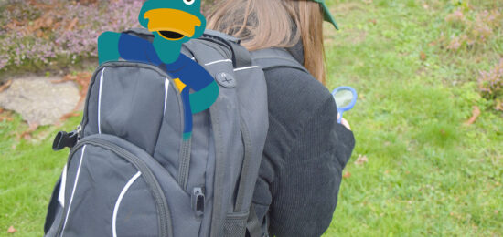 sac à dos enquête de nature