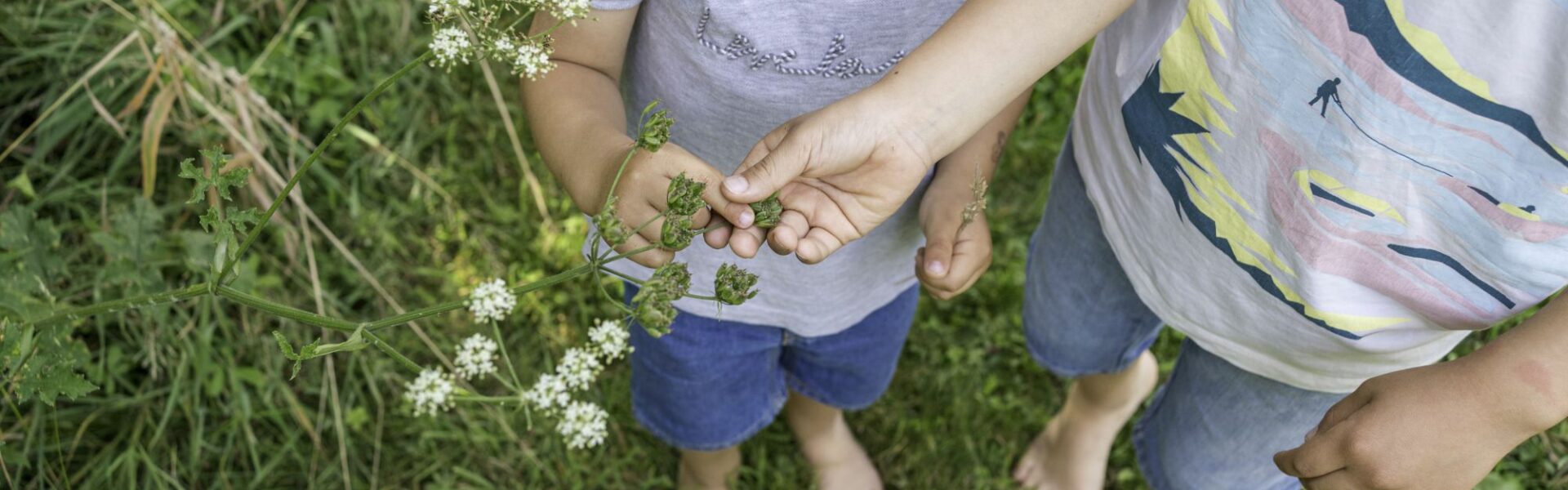 enfants, nature, Jardins de Broceliande