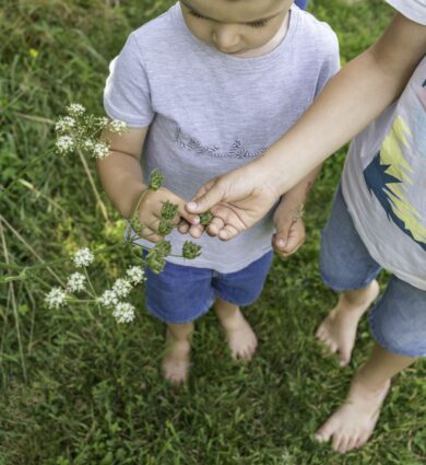 enfants, nature, Jardins de Broceliande