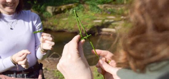 fabrication jouets buissonniers