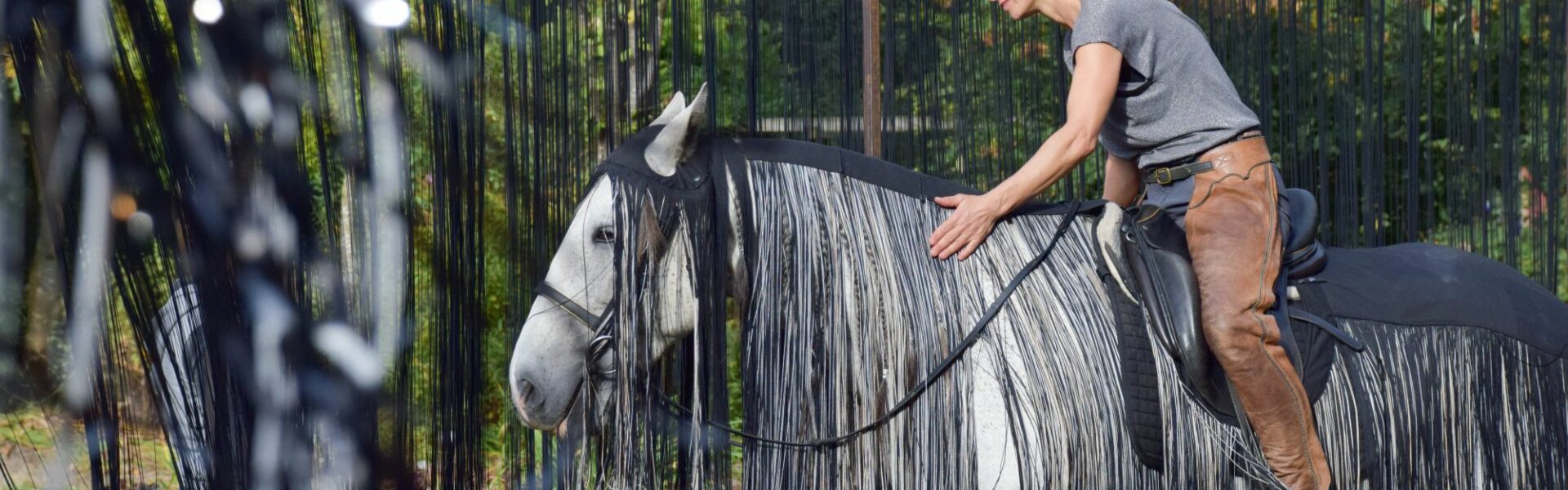 le vif, spectacle compagnie Equine Situ