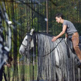 le vif, spectacle compagnie Equine Situ