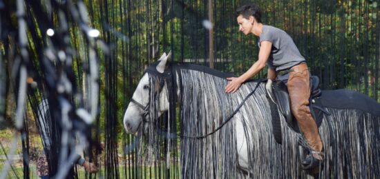 le vif, spectacle compagnie Equine Situ