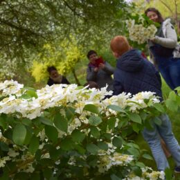 atelier nature jardins de Brocéliande