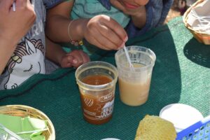 dégustation miel, animation apiculture