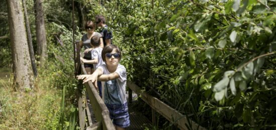 Active tes sens, Les Jardins de Brocéliande, 2026