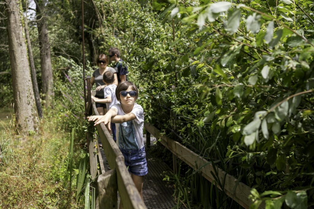 Active tes sens, Les Jardins de Brocéliande, 2026