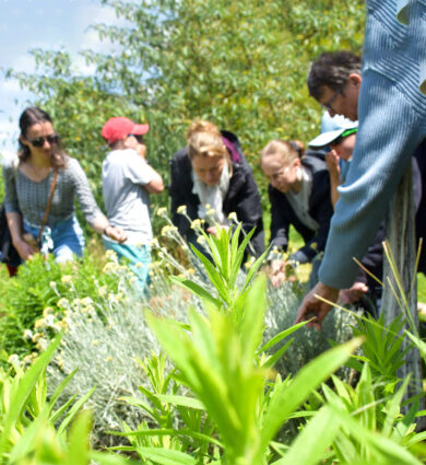 groupes adultes balade Jardins de Brocéliande