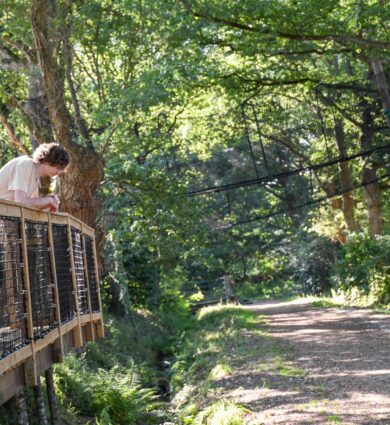 passerelle accessible, jardins de brocéliande