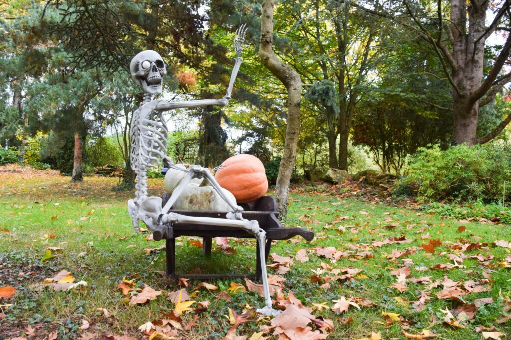 décoration extérieure halloween, squelette dans une brouette
