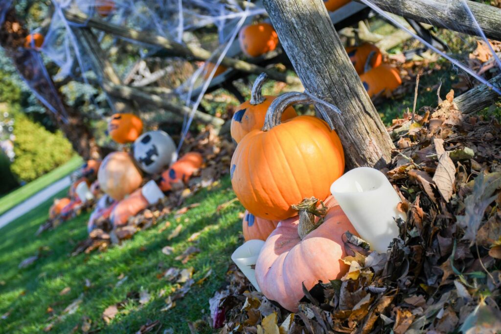 citrouilles, décoration halloween